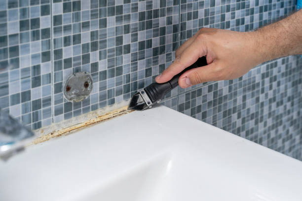 Best Mold Removal Near Me  in South Russell, OH
