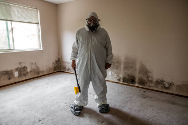 Best Crawl Space Mold Removal  in South Russell, OH